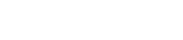 Belluvi Logo weiß